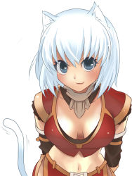 Rule 34 | 10s, 1girl, :3, animal ears, arms behind back, bad id, bad pixiv id, blush, breasts, cat ears, cat girl, cat tail, cleavage, colored eyelashes, cosplay, downblouse, elbow gloves, female focus, final fantasy, final fantasy xi, final fantasy xiv, gloves, grey eyes, large breasts, leaning forward, looking at viewer, miqo&#039;te, mithra (ff11), mithra (ff11) (cosplay), motion lines, navel, short hair, silver hair, simple background, solo, tail, uni (gugurutan), upper body, warrior of light (ff14), white background