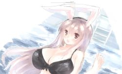 Rule 34 | 1girl, animal ears, black bra, bra, breasts, rabbit ears, female focus, highres, huatu jiang, huge breasts, lace, lace-trimmed bra, lace trim, open mouth, pink hair, red eyes, reisen udongein inaba, sketch, solo, touhou, underwear, upper body