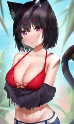 Rule 34 | 1girl, absurdres, animal ear fluff, animal ears, azur lane, bare shoulders, bell, bikini, bikini top only, black hair, blush, breasts, cat ears, cat girl, cat tail, cleavage, closed mouth, collarbone, commentary request, cotton kanzaki, cowboy shot, day, highres, large breasts, looking at viewer, navel, official alternate costume, outdoors, purple eyes, red bikini, smile, solo, sparkle, swimsuit, tail, tail bell, tail ornament, undressing, yamashiro (azur lane), yamashiro (vacation offensive!) (azur lane)