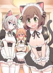 Rule 34 | 3girls, anastasia (idolmaster), animal ears, apron, aqua eyes, black dress, blush, breasts, brown hair, cat ears, cat girl, cat tail, cleavage, closed mouth, comiket 95, commentary request, crossed arms, dress, fang, frilled apron, frills, green eyes, grey hair, hanging breasts, highres, idolmaster, idolmaster cinderella girls, indoors, leaning forward, looking at viewer, maekawa miku, maid, maid apron, maid headdress, medium breasts, multiple girls, neck ribbon, ninomiya asuka, nose blush, open mouth, orange hair, own hands together, puffy short sleeves, puffy sleeves, purple eyes, raised eyebrows, ribbon, serebi ryousangata, short dress, short sleeves, standing, tail, tail raised, tareme, tsurime, v-shaped eyebrows, v arms, white apron