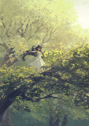 Rule 34 | 1girl, animal ears, balancing, barefoot, blue eyes, brown hair, cat ears, dress, green theme, highres, in tree, long hair, original, outdoors, outstretched arms, potg (piotegu), scenery, sleeveless, sleeveless dress, solo, spread arms, sundress, sunlight, tree, walking, white dress