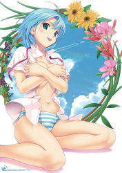 Rule 34 | 1girl, :p, ;p, ahoge, aircraft, airplane, blue eyes, blue hair, blush, breasts, cloud, contrail, covering breasts, covering privates, day, flower, highres, koutaro, looking at viewer, matching hair/eyes, navel, no bra, non-web source, one eye closed, open clothes, open mouth, open shirt, panties, shiny skin, shirt, sitting, skindentation, sky, solo, striped clothes, striped panties, tongue, tongue out, underwear, wink, yokozuwari