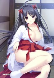 Rule 34 | 1girl, absurdres, ahoge, black hair, blush, breasts, breasts out, debonosu, hair ribbon, highres, japanese clothes, large breasts, long hair, miko, nipples, no bra, open clothes, open shirt, panties, parted lips, purple eyes, ribbon, shirt, sitting, solo, underwear, yamamoto kazue