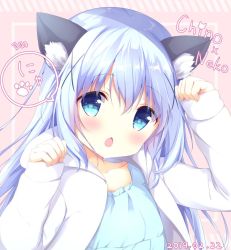 Rule 34 | 1girl, amedamacon, animal ear fluff, animal ears, arm up, blue eyes, blue hair, blue shirt, blush, cat day, cat ears, character name, chestnut mouth, collarbone, commentary request, dated, gochuumon wa usagi desu ka?, hair between eyes, hair ornament, hand up, head tilt, hood, hood down, hooded jacket, jacket, kafuu chino, long sleeves, looking at viewer, open clothes, open jacket, open mouth, paw pose, shirt, sleeves past wrists, solo, upper body, white jacket, x hair ornament