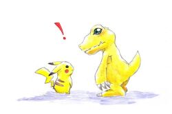 Rule 34 | agumon, claws, creatures (company), digimon, digimon (creature), exclamation mark, game freak, gen 1 pokemon, green eyes, looking at another, nintendo, pikachu, pokemon, pokemon (creature), tail