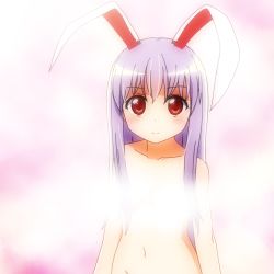 Rule 34 | 1girl, animal ears, bad id, bad pixiv id, breasts, rabbit ears, censored, collarbone, convenient censoring, extra ears, long hair, looking at viewer, mikomiko (mikomikosu), navel, nude, out-of-frame censoring, purple hair, red eyes, reisen udongein inaba, small breasts, solo, steam, steam censor, touhou