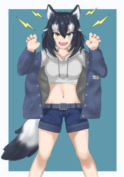 Rule 34 | 1girl, alternate costume, animal ear fluff, animal ears, bad id, bad pixiv id, black hair, blue eyes, breasts, collarbone, fang, grey wolf (kemono friends), heterochromia, highres, jacket, kemono friends, long hair, maindo (mindrmindr), medium breasts, midriff, multicolored hair, nail polish, navel, open clothes, open jacket, open mouth, shorts, tail, two-tone hair, white background, wolf ears, wolf girl, wolf tail, yellow eyes