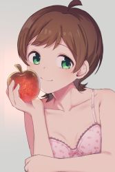 Rule 34 | 1girl, ahoge, apple, bad id, bad twitter id, blush, bra, breasts, brown hair, closed mouth, collarbone, food, fruit, green eyes, grey background, highres, hiroki (yyqw7151), holding, holding food, holding fruit, idolmaster, idolmaster million live!, kinoshita hinata, looking at viewer, pink bra, short hair, small breasts, smile, solo, underwear, upper body