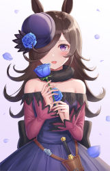 Rule 34 | 1girl, :d, animal ears, bad id, bad pixiv id, bare shoulders, blue dress, blue flower, blue hat, blue rose, blush, breasts, brown hair, commentary request, crying, crying with eyes open, dagger, dress, flower, gradient background, hair over one eye, hands up, hat, hat flower, highres, holding, holding flower, horse ears, knife, long sleeves, looking at viewer, off-shoulder dress, off shoulder, open mouth, petals, purple background, purple eyes, rice shower (umamusume), rose, seungju lee, sleeves past wrists, small breasts, smile, solo, tears, tilted headwear, umamusume, weapon, white background, wide sleeves