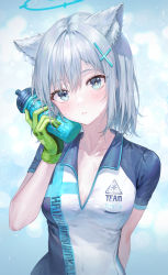 Rule 34 | 1girl, absurdres, animal ears, black gloves, blue archive, blue shirt, bottle, breasts, cat ears, cleavage, collarbone, commentary request, gloves, green gloves, grey background, grey hair, hair ornament, highres, holding, holding bottle, huge filesize, looking at viewer, medium breasts, pale skin, shiroko (blue archive), shiroko (cycling) (blue archive), shirt, short hair, short sleeves, simple background, solo, tokkyu, white background, white shirt, x hair ornament