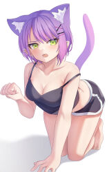 Rule 34 | 1girl, absurdres, animal ear fluff, animal ears, aoi zerii, barbell piercing, barefoot, black camisole, black shorts, blush, bob cut, camisole, cat ears, cat girl, cat tail, dolphin shorts, double-parted bangs, ear piercing, green eyes, hair ornament, hairclip, hand on floor, highres, hololive, industrial piercing, kneeling, leaning forward, open mouth, paw pose, piercing, purple hair, short hair, shorts, simple background, single off shoulder, solo, tail, tokoyami towa, virtual youtuber, white background, x hair ornament