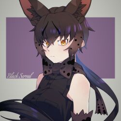 Rule 34 | 1girl, animal ear fluff, animal ears, black bow, black bowtie, black gloves, black hair, black serval (kemono friends), black shirt, bow, bowtie, cat ears, cat girl, closed mouth, elbow gloves, extra ears, gloves, hauru 252, highres, kemono friends, long hair, looking at viewer, purple background, shirt, simple background, sleeveless, sleeveless shirt, solo, yellow eyes