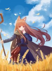 Rule 34 | 1girl, animal ear fluff, animal ears, apple, bad id, bad pixiv id, blue dress, blue sky, blunt bangs, brown cape, brown hair, cape, cloud, cosplay, day, dress, floating hair, food, fruit, hei mu nan tong, holding, holding food, holding fruit, holding staff, holo, long hair, long sleeves, looking at viewer, nora arento, nora arento (cosplay), outdoors, red apple, red eyes, sky, solo, spice and wolf, staff, very long hair, wheat field, wolf ears, wolf girl
