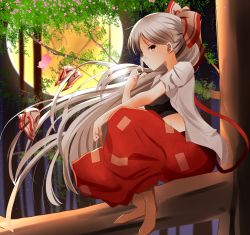 Rule 34 | 1girl, baggy pants, blush, bow, breasts, cherry blossoms, cigarette, flower, from side, fujiwara no mokou, full body, full moon, hair bow, highres, in tree, indo (mdtanaka2007), looking at viewer, looking to the side, medium breasts, moon, open clothes, open shirt, pants, petals, ponytail, profile, red eyes, red pants, shirt, short sleeves, silver hair, sitting, sitting in tree, smoking, solo, sports bra, touhou, tree, white shirt
