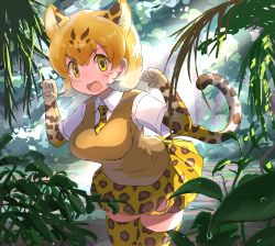Rule 34 | &gt;:d, 1girl, animal ears, animal print, blonde hair, blush, breasts, brown vest, curly hair, forest, hair between eyes, kemono friends, koutsuu (koutuukanseikan), large breasts, leaning forward, leopard (kemono friends), leopard ears, leopard print, leopard tail, medium hair, nature, necktie, open mouth, outdoors, paw pose, plant, shirt, short sleeves, skirt, standing, sunlight, tail, thighhighs, v-shaped eyebrows, vest, white shirt, yellow eyes, yellow skirt, yellow thighhighs, zettai ryouiki