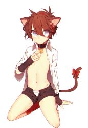 Rule 34 | animal ears, arm support, bell, black shorts, blue eyes, bow, cat ears, cat tail, collar, collared shirt, coojisan, full body, groin, hair bell, hair between eyes, hair bow, hair ornament, hair ribbon, highres, kneeling, long sleeves, looking to the side, maplestory, navel, neck bell, nipples, open clothes, open fly, open shirt, red bow, red ribbon, ribbon, shirt, shorts, simple background, solo, stomach, tail, tail bow, tail ornament, unbuttoned, unbuttoned shirt, white background, white shirt, wing collar