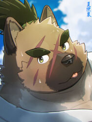 Rule 34 | 1boy, animal ears, animal nose, artist name, bara, brown fur, cloud, cloudy sky, commentary request, dog boy, dog ears, furry, furry male, green eyes, green hair, highres, looking at viewer, male focus, natsugouri, ponytail, portrait, scar, scar on face, shirt, signature, sky, solo, sweat, thick eyebrows, tokyo houkago summoners, tongue, tongue out, white shirt, yasuyori (housamo)