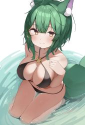 Rule 34 | 1girl, animal ear fluff, animal ears, bare shoulders, bikini, black bikini, blush, breasts, cleavage, closed mouth, commentary request, commission, from above, full body, green hair, halterneck, hand on own chest, highres, looking at viewer, medium breasts, medium hair, navel, o-ring, o-ring bikini, original, red eyes, shin no tenpii, sitting, skeb commission, smile, solo, string bikini, swimsuit, tail, water