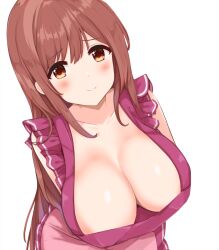 Rule 34 | 1girl, alternate costume, apron, arms behind back, blush, breasts, brown eyes, brown hair, closed mouth, commentary request, frilled apron, frills, io (princess connect!), io (real) (princess connect!), large breasts, long hair, looking at viewer, princess connect!, sa (nax49), simple background, smile, solo, upper body, white background