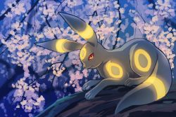 Rule 34 | branch, closed mouth, commentary request, creatures (company), flower, from side, full body, fusenryo, game freak, gen 2 pokemon, glowing, looking at viewer, nintendo, no humans, pokemon, pokemon (creature), red eyes, solo, umbreon