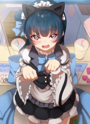 Rule 34 | 1girl, animal ears, black vest, blue bow, blue bowtie, blue hair, blush, bow, bowtie, cat ears, commentary request, cup, drinking glass, fang, frilled shirt collar, frilled sleeves, frills, hair bun, hairband, highres, long hair, looking at viewer, love live!, love live! school idol festival, love live! sunshine!!, maid, maid headdress, mia (fai1510), open mouth, paw pose, purple eyes, sash, side bun, single side bun, solo, tsushima yoshiko, vest, wide sleeves, wrist cuffs