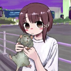 Rule 34 | 1girl, animal, blush stickers, brown eyes, brown hair, bubbacterial, closed mouth, highres, holding, holding animal, iwakura lain, looking at viewer, mouse (animal), outdoors, railing, serial experiments lain, shirt, short hair, short sleeves, solo, upper body, white shirt