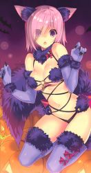 Rule 34 | 1girl, :o, absurdres, animal ears, black panties, blush, bow, breasts, choker, cleavage, craft essence (fate), elbow gloves, eyes visible through hair, fang, fate/grand order, fate (series), fur-trimmed gloves, fur-trimmed legwear, fur trim, gloves, hair between eyes, hair over one eye, highres, kneeling, looking at viewer, mash kyrielight, mash kyrielight (dangerous beast), medium breasts, navel, o-ring, o-ring top, official alternate costume, panties, pink hair, pumpkin, purple eyes, purple gloves, purple thighhighs, red bow, red ribbon, revealing clothes, ribbon, shiny skin, short hair, solo, suzuhira hiro, tail, thighhighs, underwear, wolf ears, wolf tail