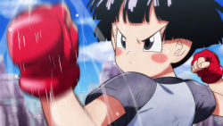 Rule 34 | 1girl, black hair, blue sky, blurry, blurry background, blush stickers, child, closed mouth, cloud, dragon ball, dragon ball super, dragon ball super super hero, female focus, fingerless gloves, gloves, grey eyes, pan (dragon ball), punching, red gloves, rom (20), shirt, short hair, short sleeves, sky, solo, sweat, v-shaped eyebrows