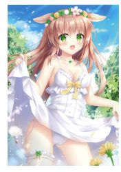 Rule 34 | 1girl, absurdres, animal ears, bare shoulders, blue sky, breasts, brown hair, cameltoe, cleavage, clothes lift, day, dress, dress lift, flower wreath, green eyes, highres, jewelry, kohinata hoshimi, lifting own clothes, long hair, looking at viewer, medium breasts, necklace, open mouth, original, outdoors, panties, scan, side-tie panties, sky, sleeveless, sleeveless dress, smile, solo, sundress, tree, underwear, white dress, white panties