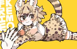 Rule 34 | 1girl, absurdres, animal ears, belt, blonde hair, bow, bowtie, cat ears, cat girl, cat tail, elbow gloves, extra ears, gloves, highres, kanmoku-san, kemono friends, kneehighs, looking at viewer, serval (ex4) (kemono friends), shirt, short hair, simple background, skirt, sleeveless, sleeveless shirt, socks, solo, tail, yellow background, yellow eyes