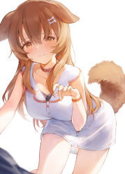 Rule 34 | 1girl, alternate hairstyle, animal collar, animal ears, blush, bone hair ornament, breasts, brown eyes, brown hair, choker, collar, collarbone, commentary request, dog ears, dog girl, dog tail, dress, fingernails, hair down, hair ornament, hana mori, highres, hololive, inugami korone, inugami korone (1st costume), leaning forward, light smile, long hair, looking at viewer, medium breasts, no jacket, paw pendant, red choker, solo, tail, thighs, very long hair, virtual youtuber, white dress, wristband