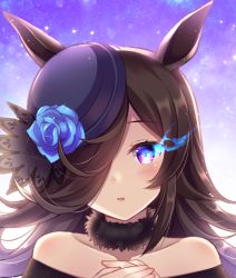 Rule 34 | 1girl, animal ears, bare shoulders, black hair, black hat, blue flower, blue rose, blush, collarbone, commentary request, dress, flaming eye, flower, hair over one eye, hands up, hat, hat flower, highres, horse ears, long hair, looking at viewer, off-shoulder dress, off shoulder, own hands together, parted lips, purple eyes, rice shower (umamusume), rose, solo, suzumia (daydream), tilted headwear, umamusume, upper body