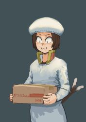 Rule 34 | 1girl, :3, absurdres, apron, blush, box, brown hair, cardboard box, cat tail, chanta (ayatakaoisii), chen, closed mouth, coat, grey background, hat, highres, holding, kappougi, long sleeves, mob cap, multiple tails, nekomata, short hair, simple background, slit pupils, solo, standing, tail, touhou, two tails, white hat