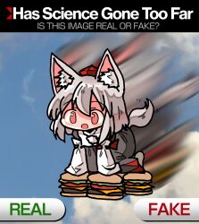 Rule 34 | 1girl, all fours, animal ears, blue sky, burger, chibi, commentary, english text, flying, food, full body, grey hair, has science gone too far? (meme), hat, inubashiri momiji, kasuya baian, long sleeves, meme, open mouth, red eyes, red hat, ribbon-trimmed sleeves, ribbon trim, shirt, short hair, sky, smile, solo, tail, tokin hat, touhou, white shirt, wolf ears, wolf tail