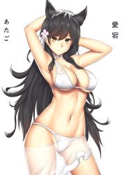 Rule 34 | 1girl, animal ears, arcie albano, armpits, arms behind head, arms up, artist name, atago (azur lane), atago (summer march) (azur lane), azur lane, bikini, black hair, blush, breasts, brown eyes, choker, cleavage, closed mouth, contrapposto, copyright name, cowboy shot, flower, hair flower, hair ornament, highres, japanese text, large breasts, legs apart, long hair, looking at viewer, mole, mole under eye, navel, partially visible vulva, sarong, see-through, simple background, smile, solo, standing, stomach, swept bangs, swimsuit, translated, tsurime, very long hair, white background, white bikini, white neckwear