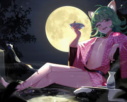 Rule 34 | 1girl, :d, ahoge, alternate costume, animal ears, barefoot, bottle, breasts, cat ears, cup, ejami, full moon, green eyes, green hair, hand up, highres, holding, japanese clothes, kemonomimi mode, kimono, long sleeves, looking at viewer, medium hair, moon, navel, night, one-punch man, open clothes, open kimono, open mouth, pink kimono, sake bottle, short hair, short kimono, small breasts, smile, solo, stomach, tatsumaki, teeth, tongue, tornado, upper teeth only, water, wet, wide sleeves