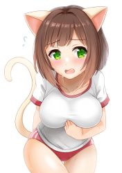 Rule 34 | 1girl, animal ears, blush, breasts, brown hair, buruma, cat ears, cat girl, cat tail, commentary request, double vertical stripe, fang, green eyes, gym shirt, highres, idolmaster, kibihimi, large breasts, maekawa miku, open mouth, red buruma, shirt, short hair, short sleeves, simple background, solo, tail, tail raised, thigh gap, white background