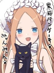 Rule 34 | 1girl, :d, abigail williams (fate), abigail williams (swimsuit foreigner) (fate), abigail williams (swimsuit foreigner) (third ascension) (fate), animal, bad id, bad pixiv id, bare arms, bare shoulders, bikini, black cat, blush, bonnet, bow, braid, brown background, brown hair, cat, commentary request, engiyoshi, fate/grand order, fate (series), gradient background, hands up, highres, holding, holding animal, long hair, open mouth, parted bangs, smile, solo, strapless, strapless bikini, striped, striped bow, swimsuit, translated, upper body, white background, white bikini, white bow, white headwear