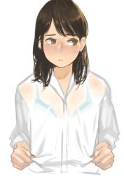 Rule 34 | 1girl, absurdres, blue bra, blush, bra, brown eyes, brown hair, brush, closed mouth, dress shirt, frown, highres, looking away, matching hair/eyes, original, see-through, shirt, simple background, sketch, solo, swept bangs, underwear, white background, yomu (sgt epper)