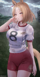 Rule 34 | 1girl, animal ears, blonde hair, cloud, cloudy sky, dirty, dirty clothes, grass, gym shirt, gym shorts, gym uniform, hand on own face, highres, horse ears, horse girl, horse tail, ironatsuki, looking at viewer, narita top road (umamusume), original race uniform (umamusume), outdoors, parted bangs, shirt, shorts, sky, solo, standing, sweat, tail, umamusume