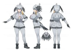 Rule 34 | 1girl, alternate breast size, arm at side, ass, belt, bird girl, bird tail, bird wings, black gloves, bodystocking, breast pocket, breasts, character sheet, closed mouth, collared shirt, expressionless, fingerless gloves, from behind, full body, gloves, green eyes, grey hair, grey shirt, grey shorts, hair between eyes, hand on own chin, hand on own hip, hand up, head wings, highres, impossible clothes, impossible shirt, kakanashi1, kemono friends, large breasts, layered sleeves, legs apart, long hair, long sleeves, looking at viewer, multicolored hair, multiple views, necktie, outstretched arm, pocket, shirt, shirt tucked in, shoebill (kemono friends), shoes, short over long sleeves, short sleeves, shorts, side ponytail, tail, turnaround, white necktie, wing collar, wings