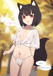 Rule 34 | 1girl, absurdres, animal ear fluff, animal ears, black hair, blurry, blurry background, blush, breasts, collarbone, day, depth of field, fox ears, fox girl, fox tail, fundoshi, groin, highres, hinata (user rjkt4745), japanese clothes, navel, open mouth, original, outdoors, red eyes, short sleeves, small breasts, solo, tail, translation request, wavy mouth, wide sleeves
