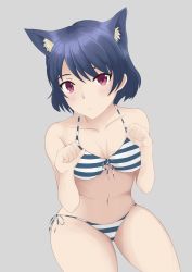 Rule 34 | :t, animal ears, bare arms, bare legs, bare shoulders, belly, bikini, blue hair, blush, breasts, cat ears, cat girl, cleavage, collarbone, colored skin, domestic na kanojo, highres, large breasts, navel, red eyes, short hair, striped bikini, striped clothes, swimsuit, tachibana rui, thighs, turboflower, white background, white skin