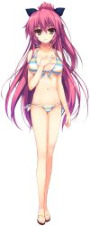 Rule 34 | 1girl, absurdres, akusera, bikini, breasts, brown eyes, cameltoe, female focus, front-tie top, full body, halterneck, hand on own chest, highres, large breasts, long hair, looking at viewer, navel, non-web source, pink hair, ponytail, reminiscence, sandals, side-tie bikini bottom, solo, striped bikini, striped clothes, swimsuit, tomose shunsaku, transparent background, very long hair