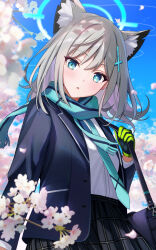 Rule 34 | 1girl, 8n0 g, animal ear fluff, animal ears, bag, black skirt, blazer, blue archive, blue eyes, blue jacket, blue scarf, cross hair ornament, day, dress shirt, flower, gloves, green gloves, grey hair, hair ornament, halo, highres, jacket, long hair, long sleeves, mismatched pupils, open clothes, open jacket, outdoors, parted lips, petals, plaid, plaid skirt, pleated skirt, scarf, school bag, school uniform, shiroko (blue archive), shirt, skirt, solo, two-tone gloves, white flower, white shirt, wolf ears