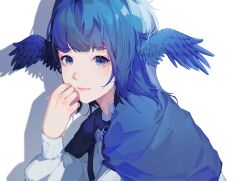 Rule 34 | 1girl, blue capelet, blue eyes, blue hair, blue wings, blunt bangs, capelet, chinese commentary, commentary, final fantasy, final fantasy xiv, hand on own face, hand up, head wings, highres, light blush, light smile, lips, looking at viewer, looking to the side, medium hair, meteion, nery, shadow, shirt, simple background, solo, upper body, white background, white shirt, wings
