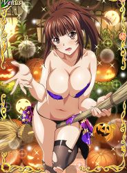 Rule 34 | 1girl, between legs, black thighhighs, breasts, broom, broom riding, brown eyes, brown hair, cleavage, highres, ikkitousen, jack-o&#039;-lantern, large breasts, long hair, panties, ponytail, solo, thighhighs, torn clothes, torn thighhighs, underwear, yagyu mitsuyoshi