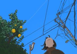 Rule 34 | 1girl, alleyropolis, black coat, branch, brown scarf, coat, commentary, day, food, from below, fruit, highres, lamppost, leaf, orange (fruit), orange tree, original, outdoors, scarf, sky, smile, solo, tree, utility pole, wire