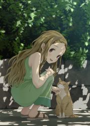 Rule 34 | 10s, 1girl, :d, absurdres, aoba kokona, braid, braided bangs, brown hair, cat, day, dress, full body, green dress, hair ornament, hasisisissy, highres, long hair, looking at viewer, looking to the side, open mouth, outdoors, petting, red eyes, sandals, sleeveless, sleeveless dress, smile, solo, squatting, sundress, very long hair, yama no susume