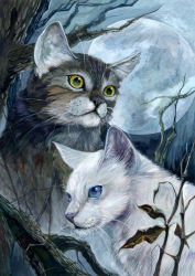 Rule 34 | animal, aogachou, blue eyes, cat, leaf, moon, night, no humans, tree, whiskers, yellow eyes